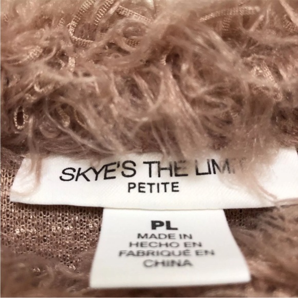 Skye's The Limit Women Pink Sweater Size Large Petite Pullover Crew Neck Faux Fu - Picture 6 of 7